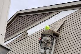 Affordable Siding Repair and Maintenance Services in Daytona Beach Shores, FL